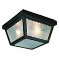 thumbnail image 1 of Trans Globe Lighting 4902 Two Light Down Lighting Outdoor Flush Mount Ceiling Fixture From, 1 of 2