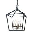 thumbnail image 1 of Trans Globe Lighting 10264 Lacey 4 Light 12" Wide Pendant - Black, 1 of 7