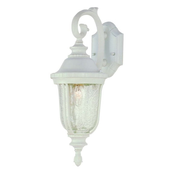 Trans Globe Lighting 4020 Single Light Down Lighting Outdoor Wall Sconce from th