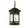 thumbnail image 1 of 40375 BK-Trans Globe Lighting-Boardwalk - 9 Inch One Light Outdoor Hanging Lantern  Black Finish, 1 of 2