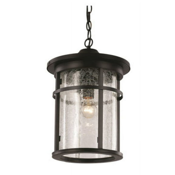 Trans Globe Lighting Avalon 4038 Outdoor Hanging Lantern