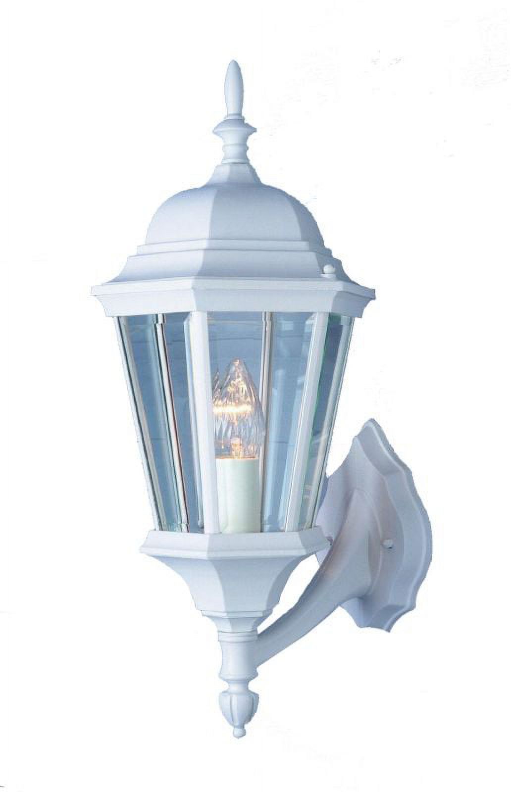 Trans Globe Lighting 4250 1-Light Up Lighting Outdoor Wall Sconce from the Outdoor Collection - image 1 of 2