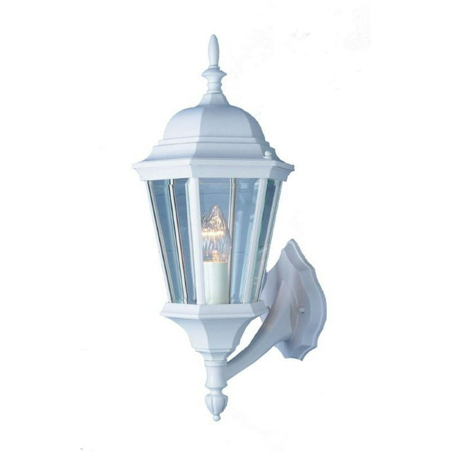 Trans Globe Lighting 4250 1-Light Up Lighting Outdoor Wall Sconce from the Outdoor Collection