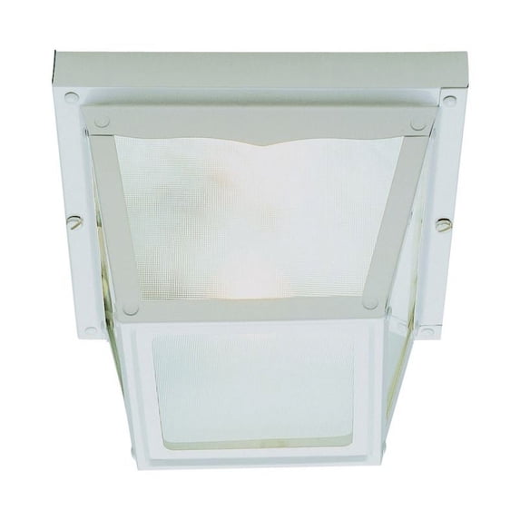 Trans Globe Lighting 4901 Single Light Down Lighting Outdoor Flush Mount Ceiling