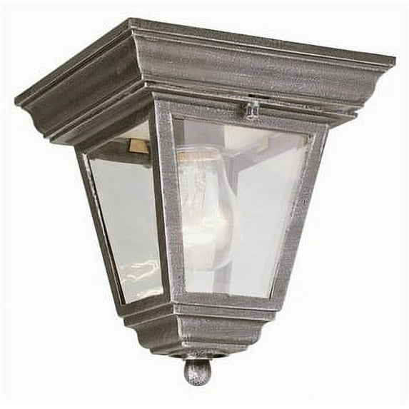 Trans Globe Lighting 4903 Singe Light Down Lighting Outdoor Flush Mount Cast Alu