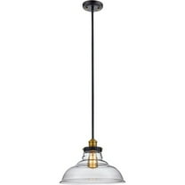 Trans Globe Lighting - Jackson - 13.5 Inch One Light Pendant