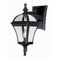 thumbnail image 1 of Trans Globe Lighting - One Light Small Outdoor Wall Lantern-Swedish Iron Finish, 1 of 1