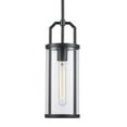 thumbnail image 1 of Trans Globe Lighting Pnd-2234 Rogue 6" Wide Mini Pendant - Black, 1 of 7