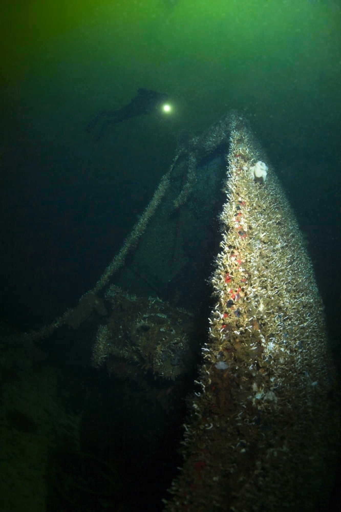 Trans Pacific Shipwreck Northern British Columbia Canada Canvas Art - Stuart Westmorland Design Pics (11 x 18)