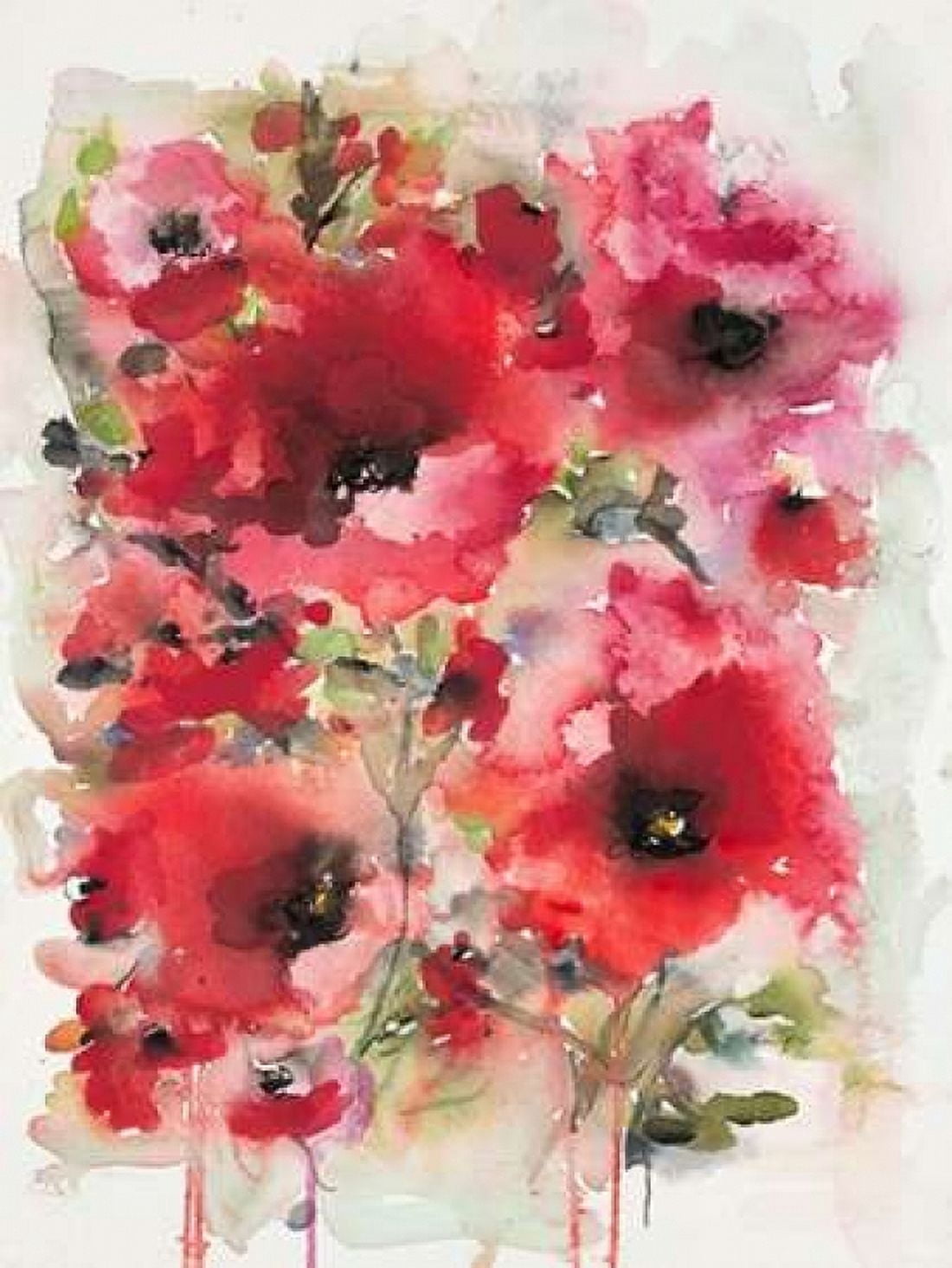 Transcendent Poppies Canvas Art - Karin Johannesson (22 x 28)