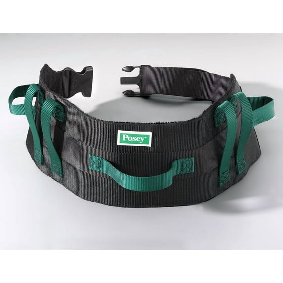 Transfer Belt