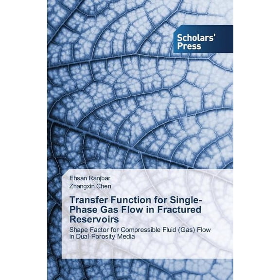 Transfer Function for Single-Phase Gas Flow in Fractured Reservoirs (Paperback)