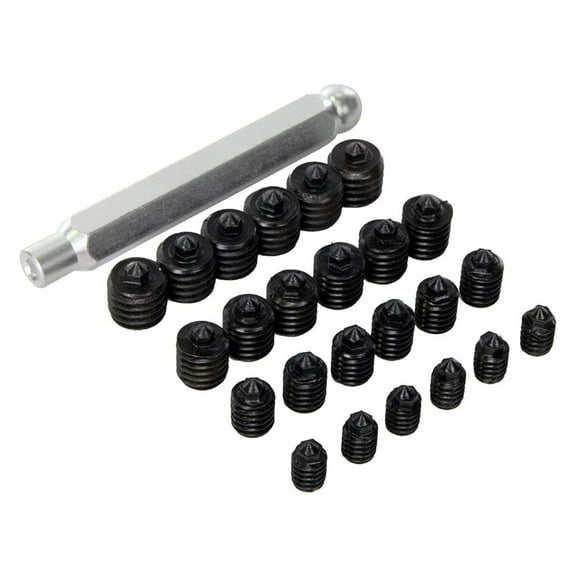 Transfer Screw Set, 1/4" - 7/16" - 4 Sizes / 6 Screws Each & Wrench/Holder, Exlonjet (5970)