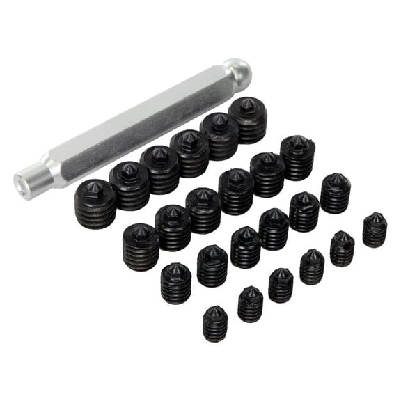 Transfer Screw Set, Metric - -4 sizes / 6 screws each plus wrench/holder, (5968)