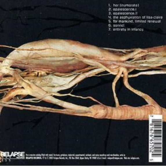 Transfer Trachea Reverberations