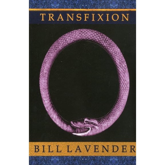 Transfixion (Paperback)