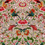 Transform Splendid Multi Peel & Stick Wallpaper