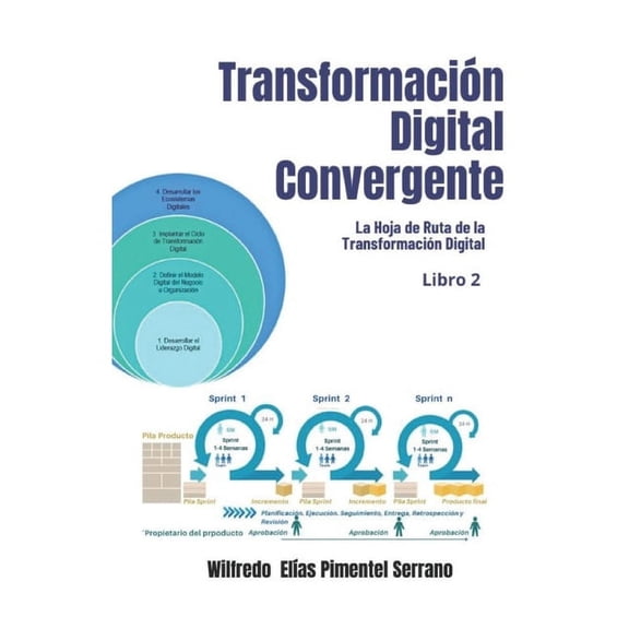 Transformacin Digital Convergente: Transformacin Digital Convergente: Las Micro y Pequeas Empresas y Las Estructuras Productivas hacia la Cuarta Revolucin Industrial (Paperback)