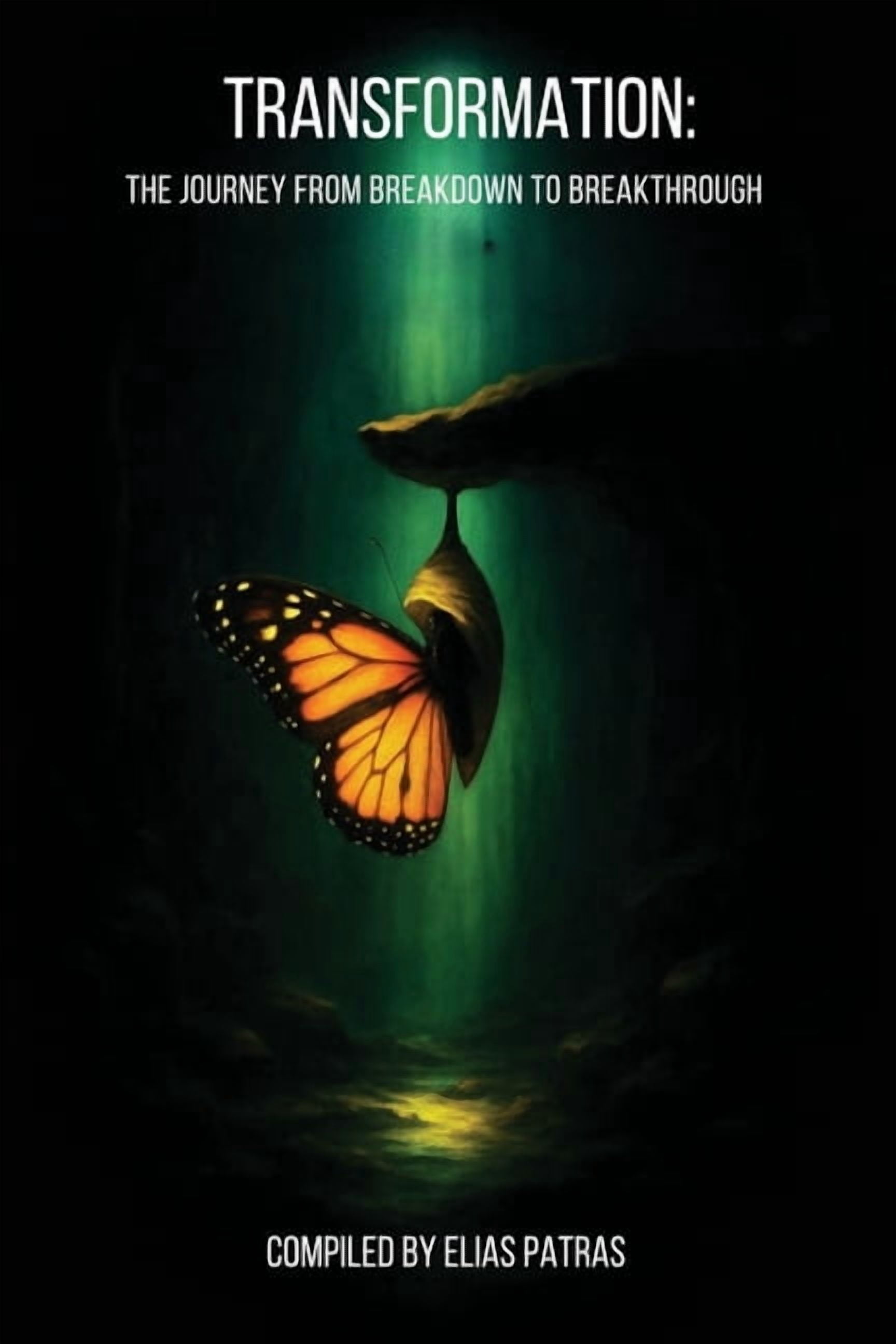 Transformation: The Journey from Breakdown to Breakthrough, (Paperback)