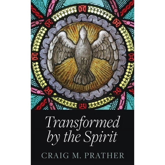 Transformed by the Spirit: A Modern Journey into Spiritual Formation, (Hardcover)