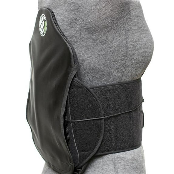 Transformer Back Brace - Small - Extra Large
