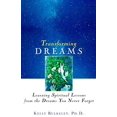 thumbnail image 1 of Pre-Owned Transforming Dreams: Learning Spiritual Lessons from the Dreams You Never Forget (Paperback) 0471349615 9780471349617, 1 of 1