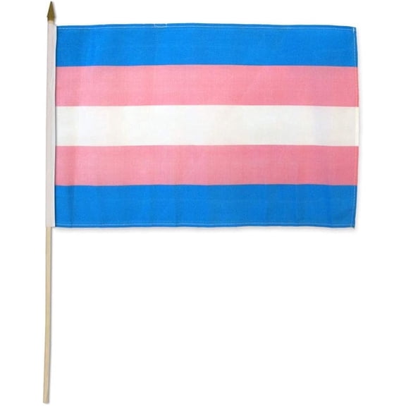 Flags Importer STI-Transgender Dozen 12x18 Stick Flags, Multicolor