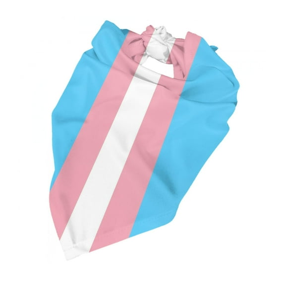 Transgender Flag Dog Bandana Pet Scarf Dog Party Supplies For Dogs Pet Accessories For Dog Lovers