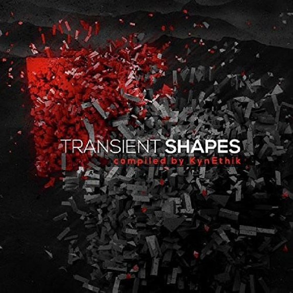 Transient Shapes / Various (CD)