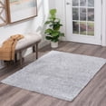 thumbnail image 1 of Bliss Rugs Transitional Solid Color 3'3'' x 5' Silver Polypropylene Indoor Area Rug, 3'3'' x 5', 1 of 10