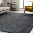 thumbnail image 1 of Transitional 5x8 Area Rug Shag Thick (5'3'' x 7'3'') Solid Dark Gray Living Room Easy to Clean, 1 of 8
