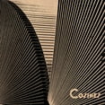 thumbnail image 1 of Transitions (LP), 1 of 1