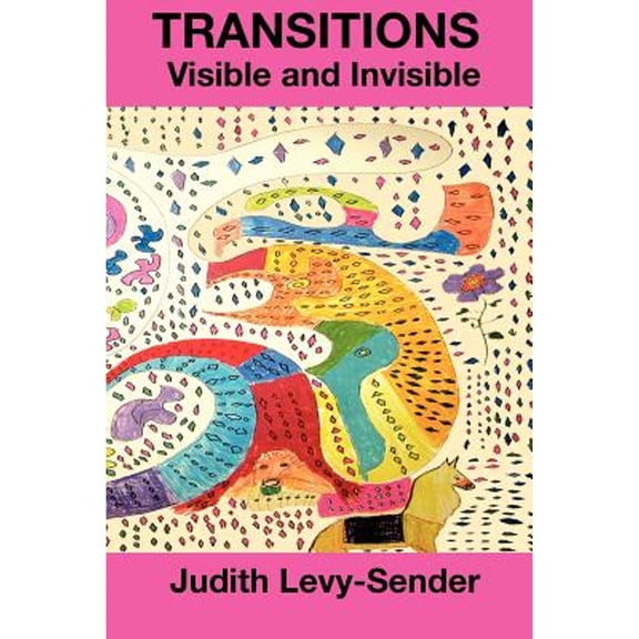 Pre-Owned Transitions Visible and Invisible (Paperback 9781882260218) by Judith Levy-Sender