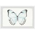 thumbnail image 1 of Translucent Blue Wings Framed Painting Print, 1 of 6