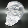 thumbnail image 1 of Translucent Clear Skull Gothic Halloween Decor 3.5 Inches Tall, 1 of 1