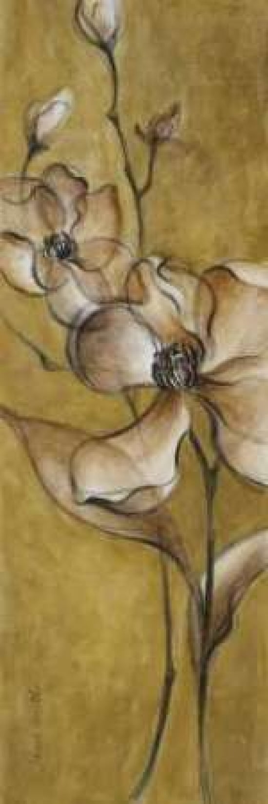 Translucent Magnolias on Gold Canvas Art - Lanie Loreth (8 x 24)