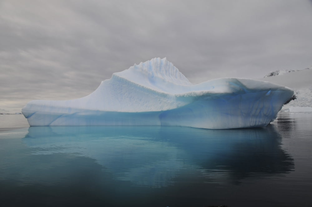 Translucent blue iceberg reflection Antarctica Canvas Art - Mathieu MeurStocktrek Images (35 x 23)