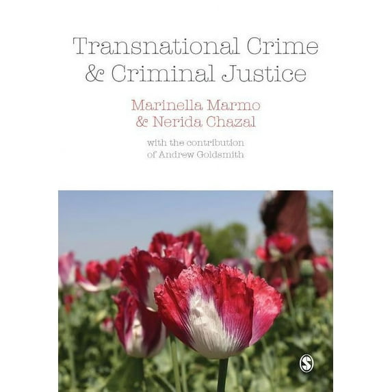 Transnational Crime and Criminal Justice (Hardcover)