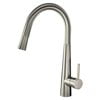 thumbnail image 1 of Transolid Retreat Pull Out Single Handle Kitchen Faucet, 1 of 2