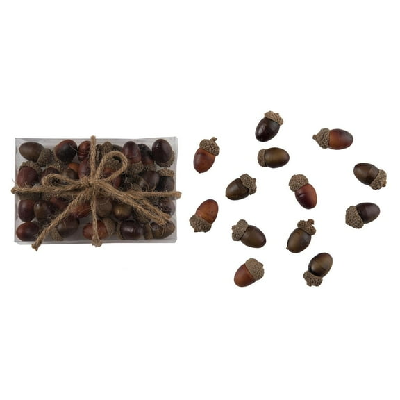 Transpac Natural Material 6.3 in Brown Harvest Acorns with Box Display for Fall and Harvest Decorative Objects