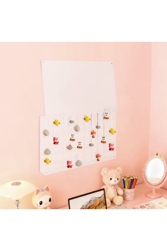 Transparent Acrylic 55.9x32.6x5.6cm 60 Lattice Shell Fossil Display Case Can Be Wall-Hung Display Box Collection Display Stand