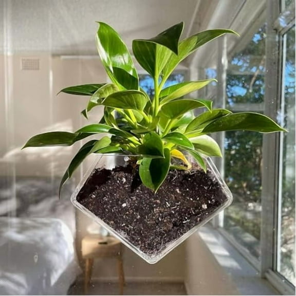 Transparent Acrylic Diamond Shape Suction Cup Window Planter, Ideal for Succulents, Cactus, Boxes or Indoor Herbs Pots, Home Decor Plant Holder or Kitchen