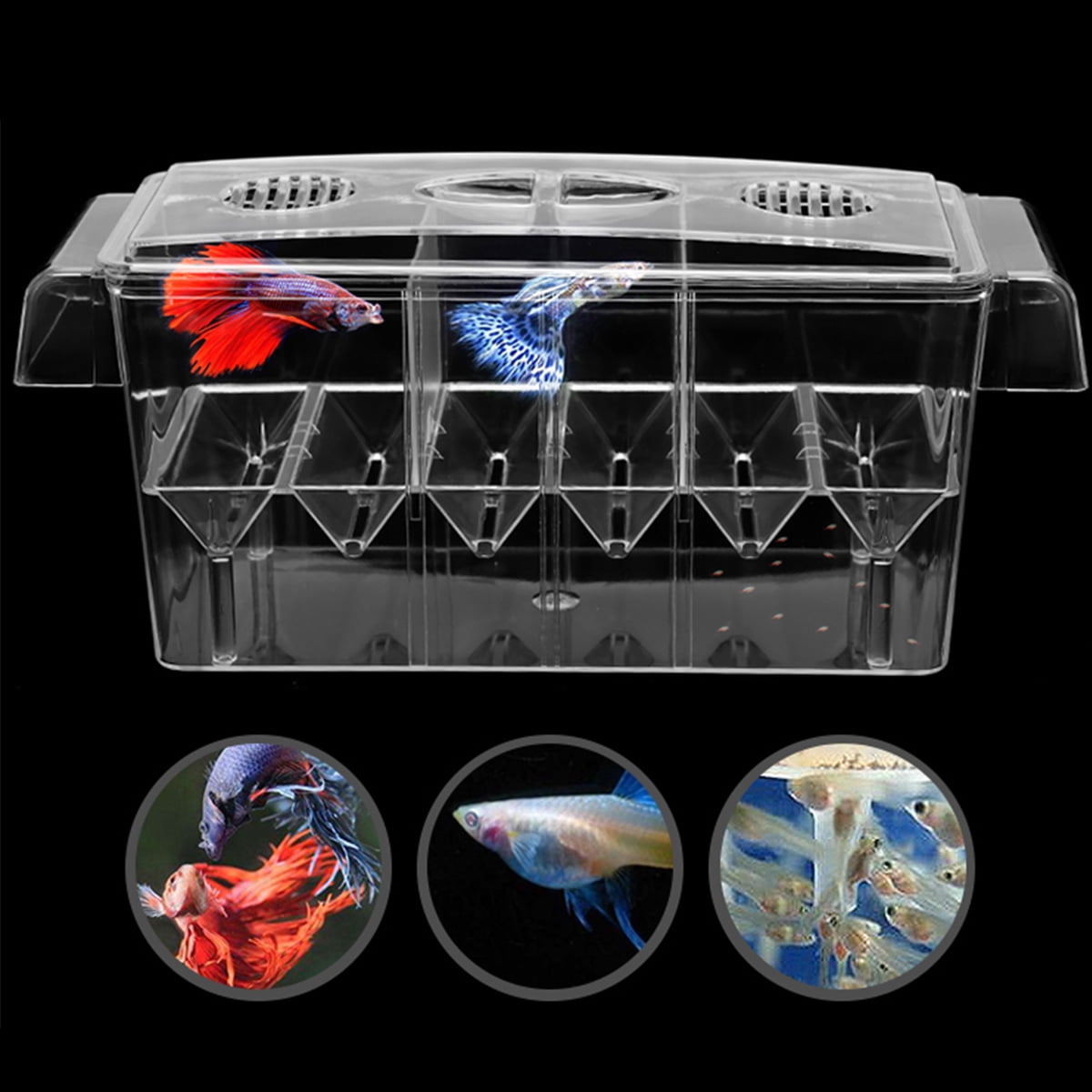 Transparent Acrylic Fish Tank Breeding Isolation Box Aquarium Incubator