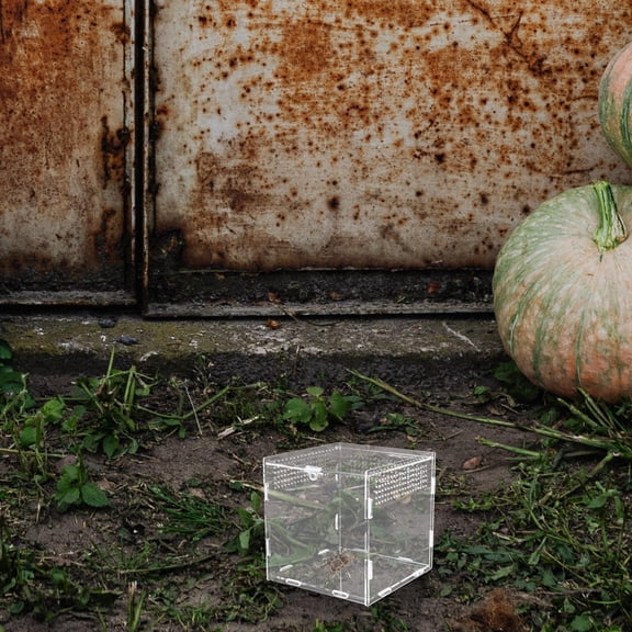 Transparent Acrylic Reptile Box Breeding Container with Escape Prevention Design for Pets