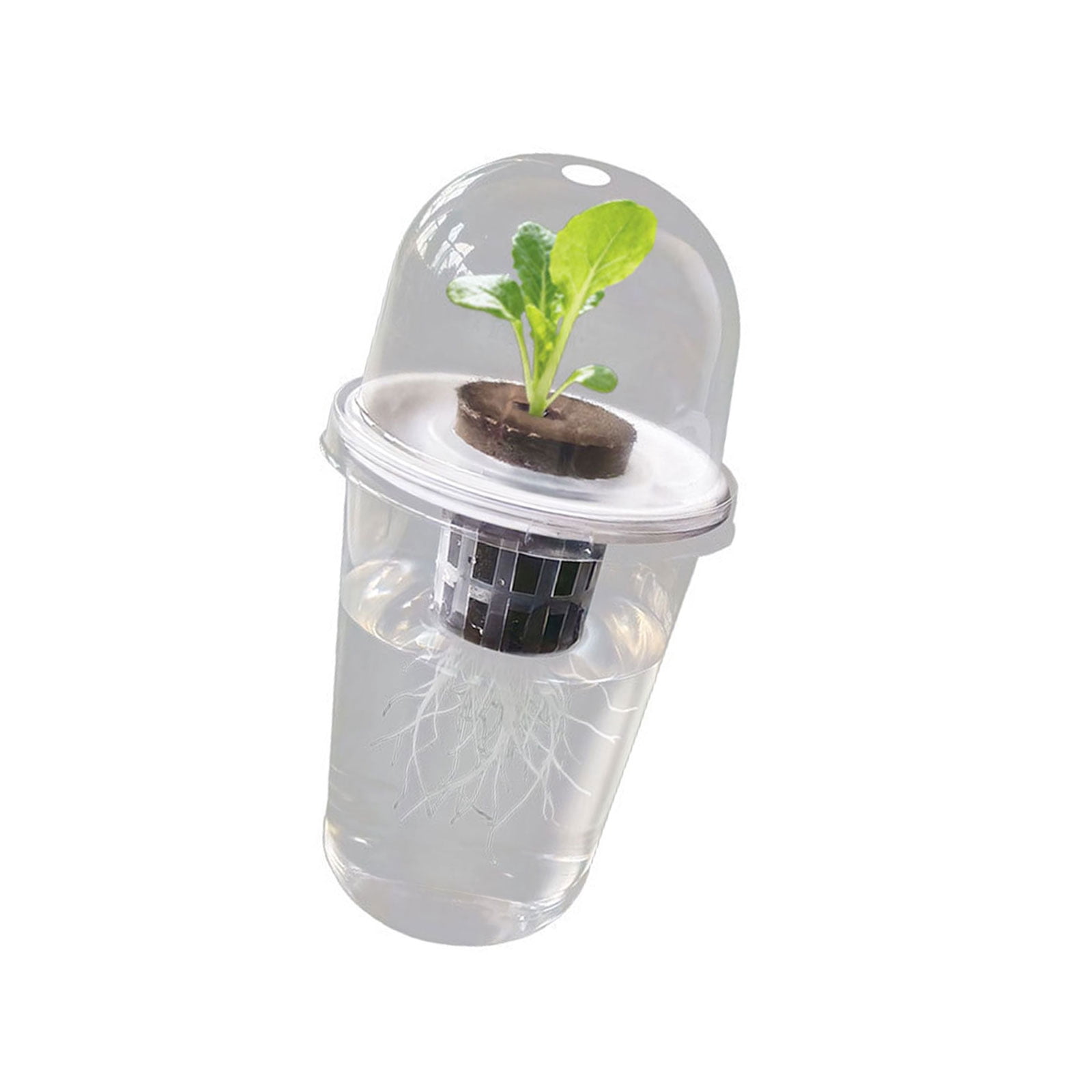 Transparent Aerating Planter Container with Visible Root for Flower and ...