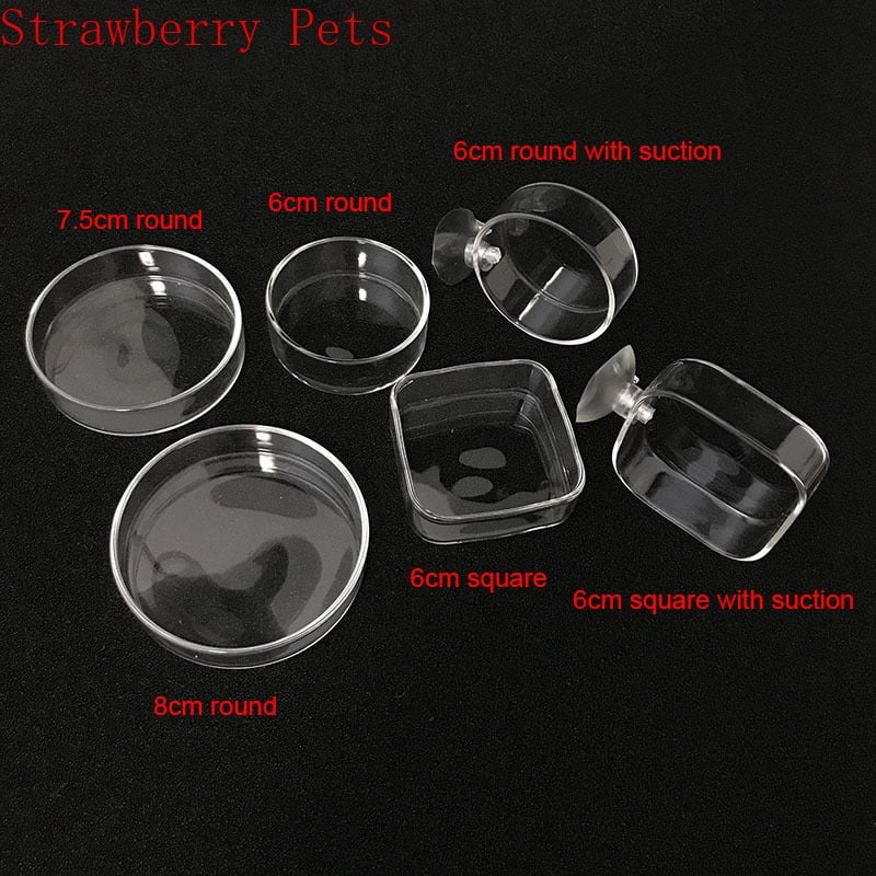 Transparent Baby Feeder Of Fish Brand With Green Lid main image 1