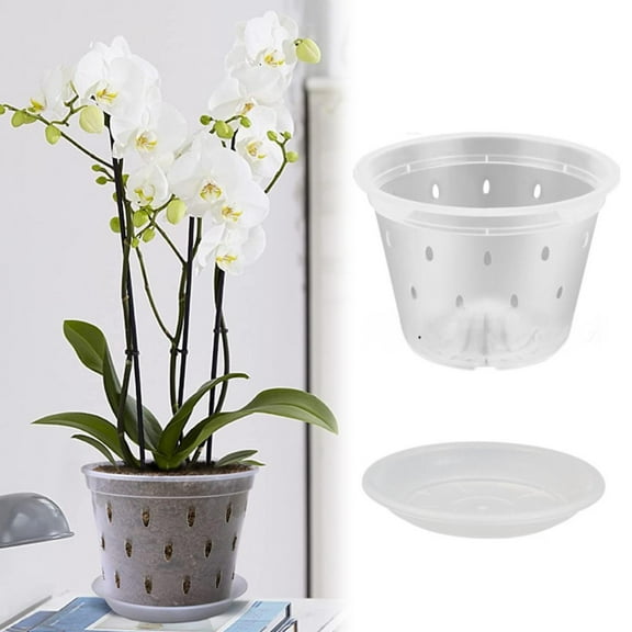 Transparent Breathable Plastic Orchid Pot Dendrobium Phalaenopsis Special Flower Pot with Holes for Air Pruning Root Control Indoor Outdoor Plant Container