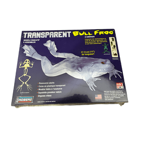 Transparent Bull Frog 11"