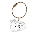 thumbnail image 1 of Transparent Cat Hair Storage Box Hanging Decoration Capsule Shape Keepsake Ornament for Pet Fur Memory Gashapon Style Clear Display Case for Pet Owners Keepsake Gifts, 1 of 3
