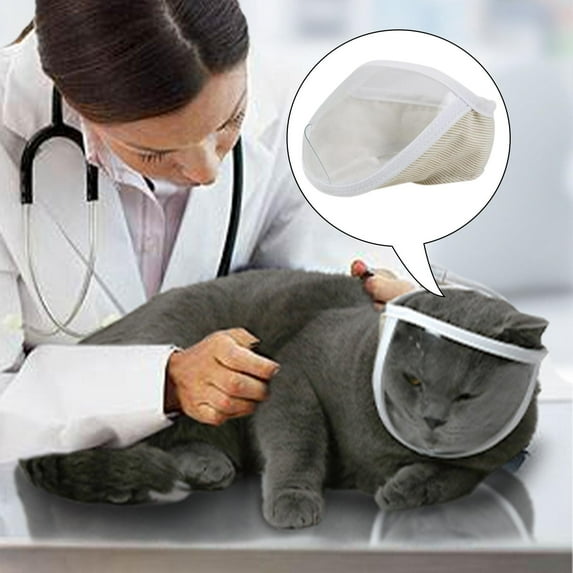 Transparent Cat Muzzle Multifunctional , from Cats Biting and Chewing , Medium